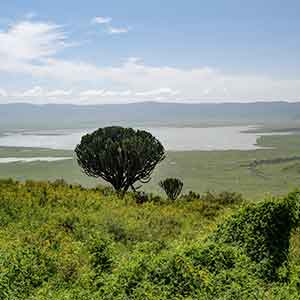 Ngorongoro_Conservation_Area
