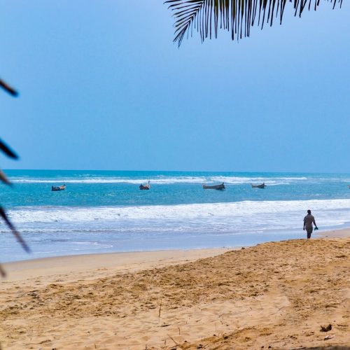6 Days Pemba Island Safari Extension