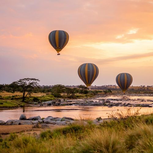 13 Days Photographic Safari in Tanzania